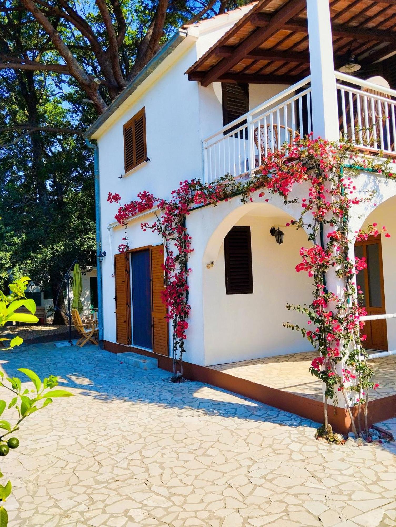Holiday House Pinus Pinea Viganj Esterno foto